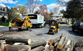 Best Lawn Drainage Solutions  in Gloucester Courthouse, VA