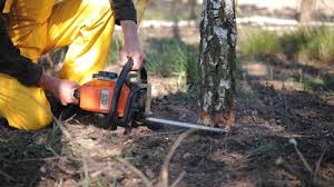 Best Aeration Services  in Gloucester Courthouse, VA