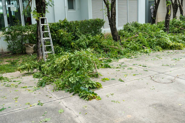 Best Pest Control for Lawns  in Gloucester Courthouse, VA